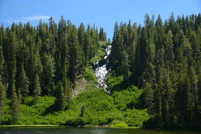 DSC_0037 (Large).JPG